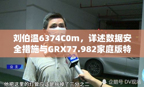 刘伯温6374C0m，详述数据安全措施与GRX77.982家庭版特性