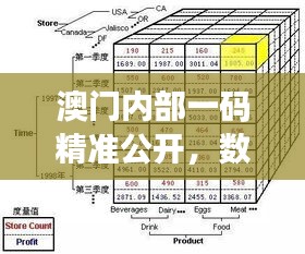 澳门内部一码精准公开，数据驱动方案QOT61.326共享版全新发布