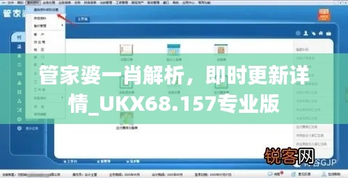 管家婆一肖解析，即时更新详情_UKX68.157专业版