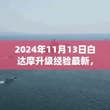 2024年11月13日白达摩升级经验最新动态及观点探析