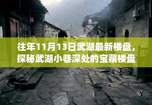 探秘武湖最新楼盘与特色小店，11月13日深度游标题建议，武湖深处探秘，最新楼盘与独特小店的秋日邂逅