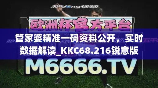 管家婆精准一码资料公开，实时数据解读_KKC68.216锐意版