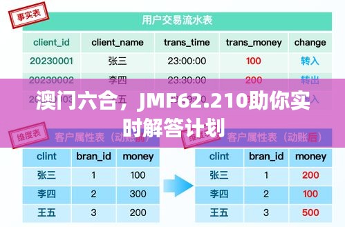 澳门六合，JMF62.210助你实时解答计划