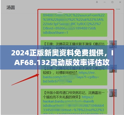 2024正版新奥资料免费提供，IAF68.132灵动版效率评估攻略