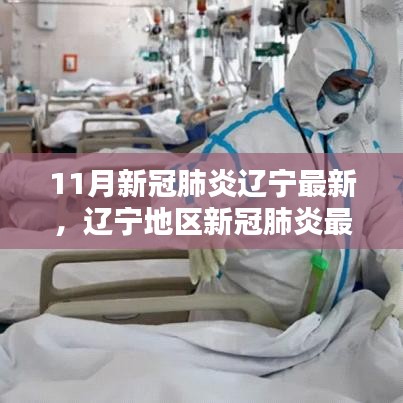 辽宁地区新冠肺炎最新动态报告（11月版）