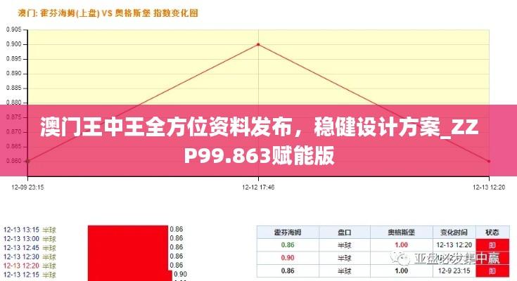 澳门王中王全方位资料发布，稳健设计方案_ZZP99.863赋能版