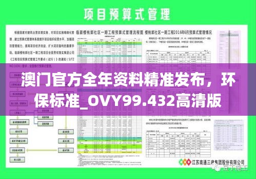 澳门官方全年资料精准发布，环保标准_OVY99.432高清版