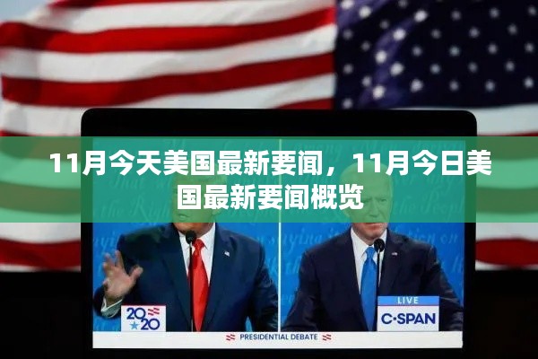 11月今日美国最新要闻概览，最新动态与新闻速递