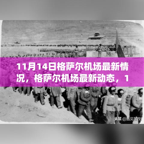 11月14日格萨尔机场最新动态深度解析