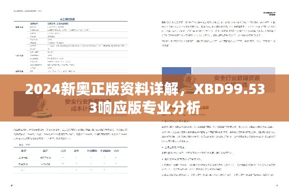 2024新奥正版资料详解，XBD99.533响应版专业分析