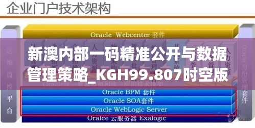 新澳内部一码精准公开与数据管理策略_KGH99.807时空版