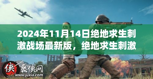 绝地求生刺激战场最新版深度解析与观点阐述（2024年11月）