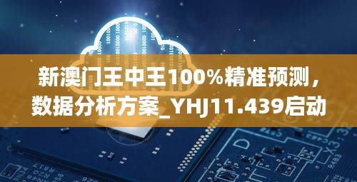 新澳门王中王100%精准预测，数据分析方案_YHJ11.439启动版