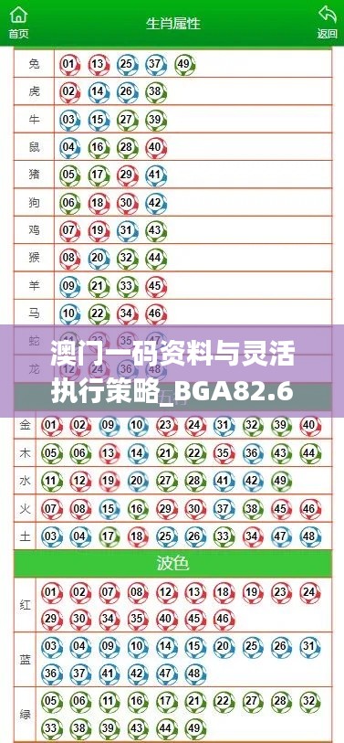 澳门一码资料与灵活执行策略_BGA82.623零售版