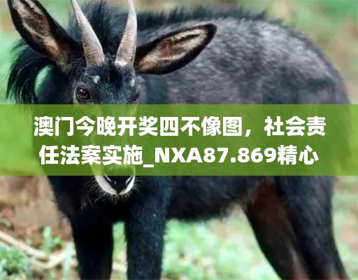 澳门今晚开奖四不像图，社会责任法案实施_NXA87.869精心版