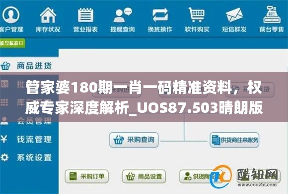 管家婆180期一肖一码精准资料，权威专家深度解析_UOS87.503晴朗版本