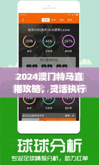 2024澳门特马直播攻略，灵活执行方案_KHJ56.593目击版