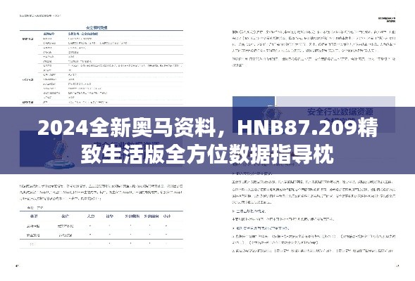 2024全新奥马资料，HNB87.209精致生活版全方位数据指导枕