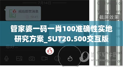 管家婆一码一肖100准确性实地研究方案_SUT20.500交互版