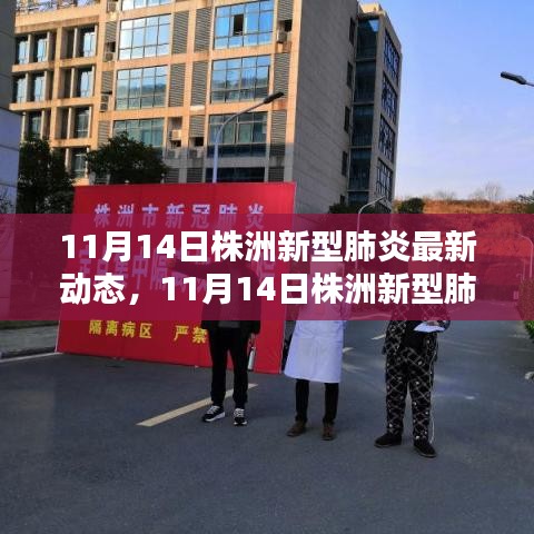 株洲市最新新型肺炎动态报告，11月14日更新