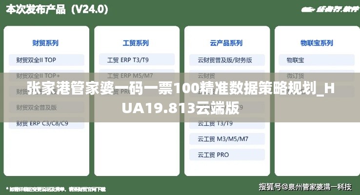 张家港管家婆一码一票100精准数据策略规划_HUA19.813云端版