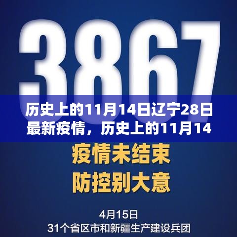 历史上的11月14日与今日辽宁疫情深度分析与观点阐述，疫情发展及应对策略探讨