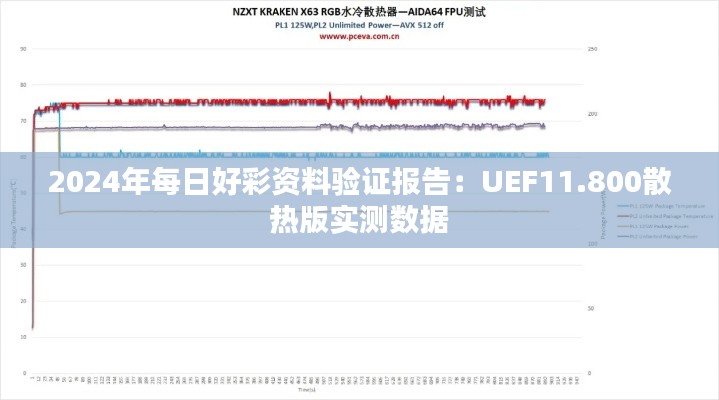 2024年每日好彩资料验证报告：UEF11.800散热版实测数据