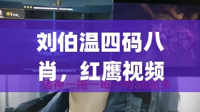 刘伯温四码八肖，红鹰视频高效设计规划_YYI19.226先锋版