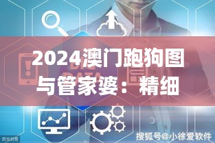 2024澳门跑狗图与管家婆：精细决策方案_XSD19.841网络版评析