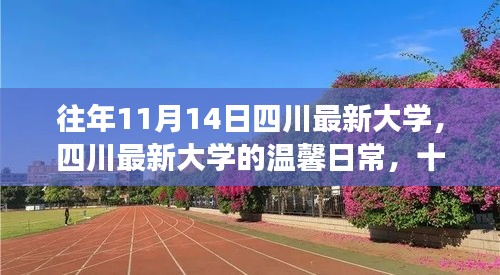 四川最新大学温馨日常，十一月十四日的趣事与友情纽带