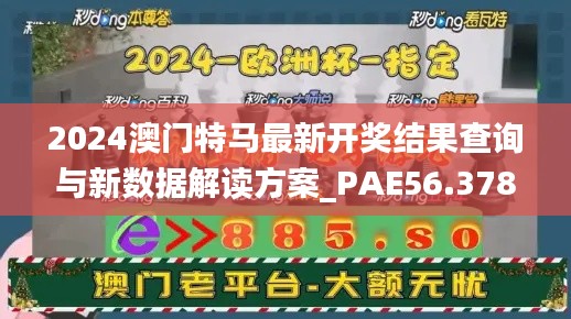 2024澳门特马最新开奖结果查询与新数据解读方案_PAE56.378精选版