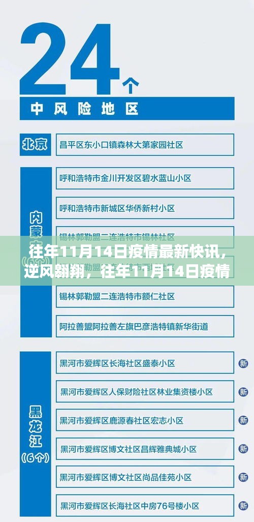 逆风翱翔，往年11月14日疫情最新快讯及其背后的励志故事