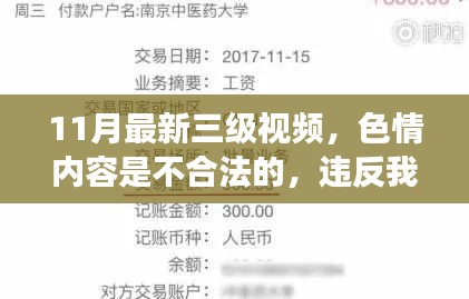 远离非法内容，追求合法娱乐——遵守法律与道德准则的娱乐选择