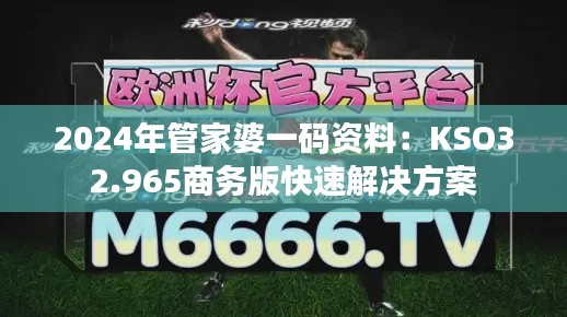 2024年管家婆一码资料：KSO32.965商务版快速解决方案