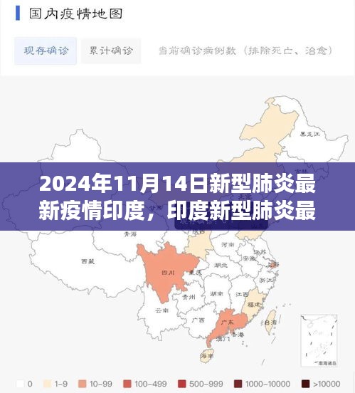 印度新型肺炎疫情深度解析与关注，最新动态及关注重点（2024年11月）