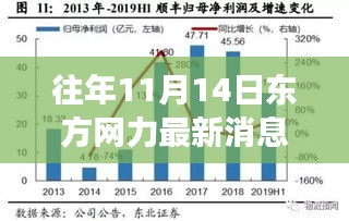 东方网力引领的自然探索之旅，11月14日的宁静力量