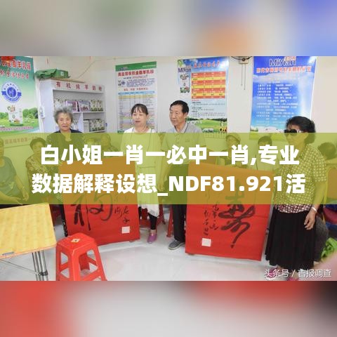 白小姐一肖一必中一肖,专业数据解释设想_NDF81.921活力版