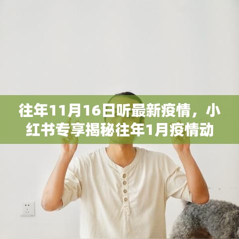 往年疫情动态解析，11月16日最新疫情及小红书专享往年1月疫情深度解读与防控策略揭秘