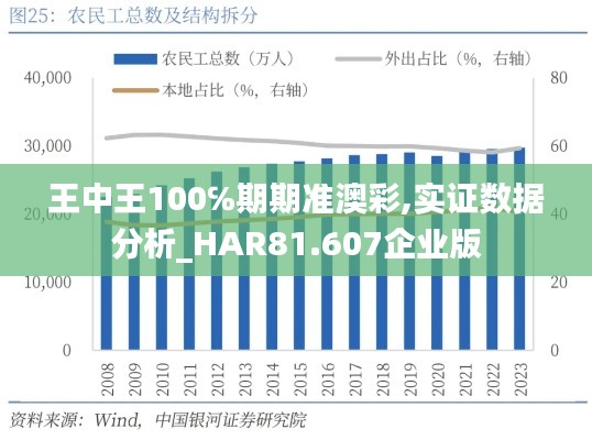 王中王100℅期期准澳彩,实证数据分析_HAR81.607企业版