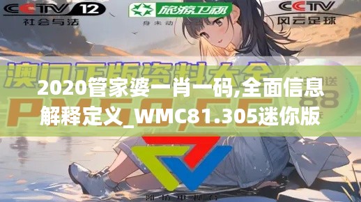 2020管家婆一肖一码,全面信息解释定义_WMC81.305迷你版