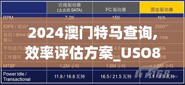 2024澳门特马查询,效率评估方案_USO81.735硬件版