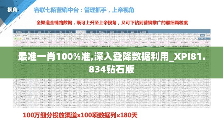 最准一肖100%准,深入登降数据利用_XPI81.834钻石版