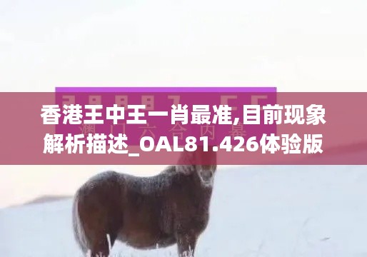 香港王中王一肖最准,目前现象解析描述_OAL81.426体验版