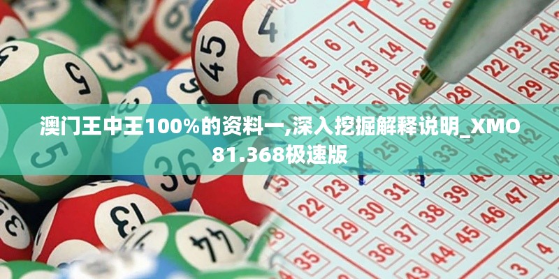 澳门王中王100%的资料一,深入挖掘解释说明_XMO81.368极速版