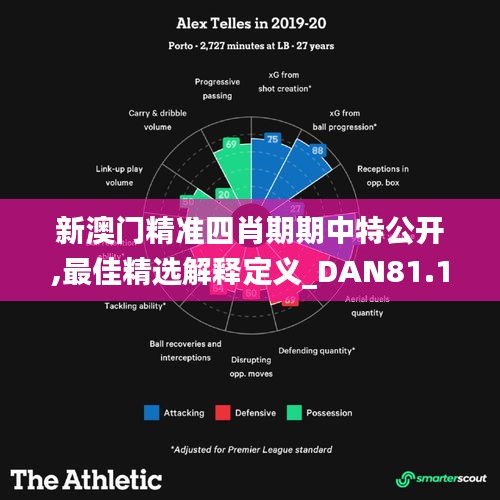 新澳门精准四肖期期中特公开,最佳精选解释定义_DAN81.152DIY工具版