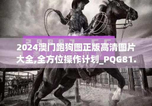 2024澳门跑狗图正版高清图片大全,全方位操作计划_PQG81.673便签版