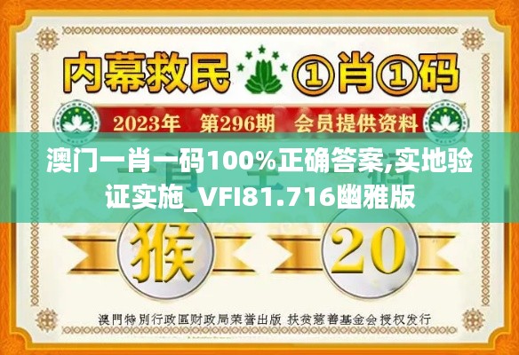 澳门一肖一码100%正确答案,实地验证实施_VFI81.716幽雅版