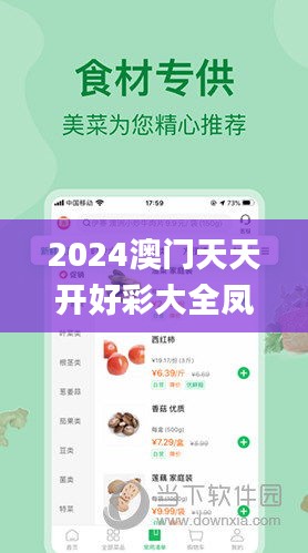 2024澳门天天开好彩大全凤凰天机,社会承担实践战略_KZE81.813旅行者特别版