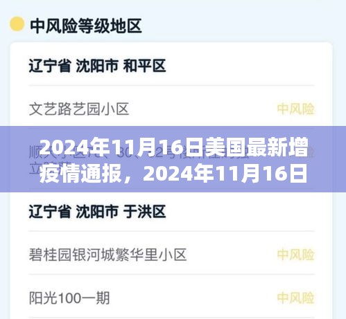 美国疫情最新动态，观点探讨下的疫情通报分析（2024年11月16日）