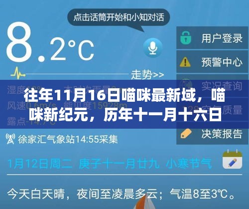 历年十一月十六日喵界里程碑事件回顾，喵咪新纪元的崛起